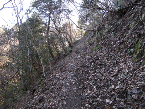20170113hike (24)